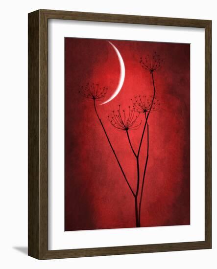 Under the Moon 2-Philippe Sainte-Laudy-Framed Photographic Print