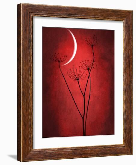 Under the Moon 2-Philippe Sainte-Laudy-Framed Photographic Print