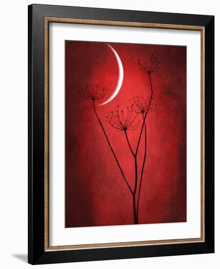 Under the Moon 2-Philippe Sainte-Laudy-Framed Photographic Print