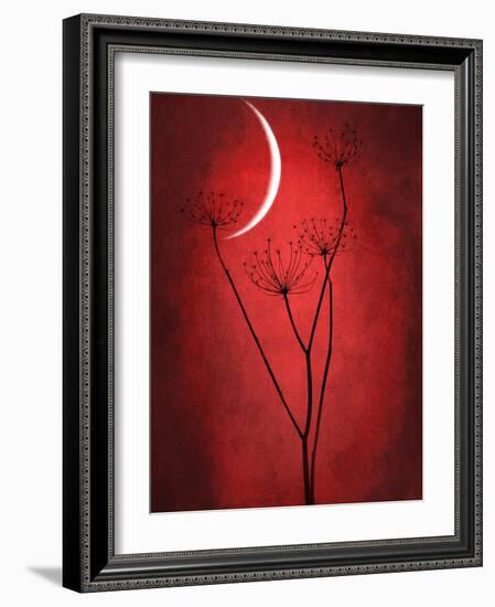 Under the Moon 2-Philippe Sainte-Laudy-Framed Photographic Print