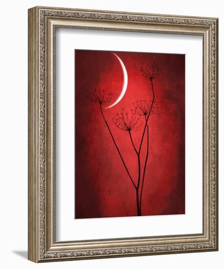 Under the Moon 2-Philippe Sainte-Laudy-Framed Premium Photographic Print