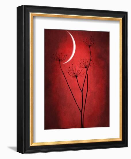 Under the Moon 2-Philippe Sainte-Laudy-Framed Photographic Print