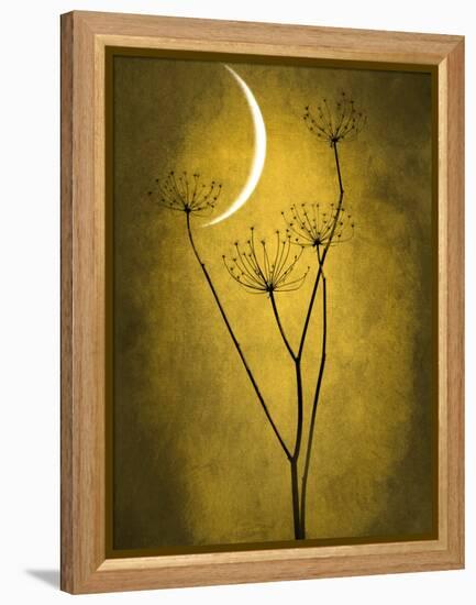 Under the Moon 3-Philippe Sainte-Laudy-Framed Premier Image Canvas