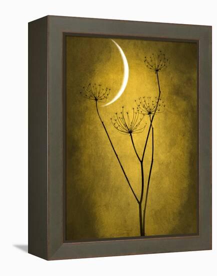 Under the Moon 3-Philippe Sainte-Laudy-Framed Premier Image Canvas