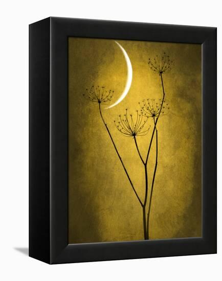 Under the Moon 3-Philippe Sainte-Laudy-Framed Premier Image Canvas