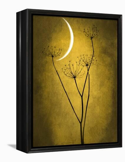 Under the Moon 3-Philippe Sainte-Laudy-Framed Premier Image Canvas