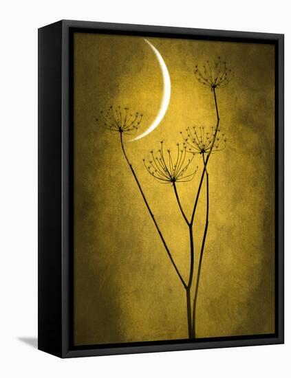 Under the Moon 3-Philippe Sainte-Laudy-Framed Premier Image Canvas