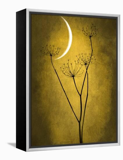 Under the Moon 3-Philippe Sainte-Laudy-Framed Premier Image Canvas