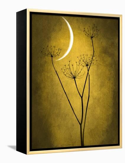 Under the Moon 3-Philippe Sainte-Laudy-Framed Premier Image Canvas