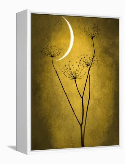 Under the Moon 3-Philippe Sainte-Laudy-Framed Premier Image Canvas