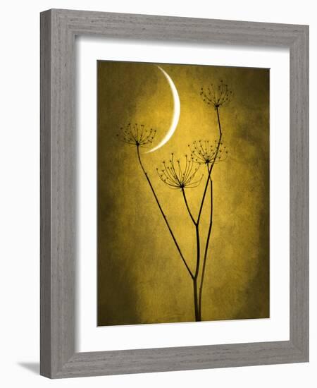 Under the Moon 3-Philippe Sainte-Laudy-Framed Photographic Print