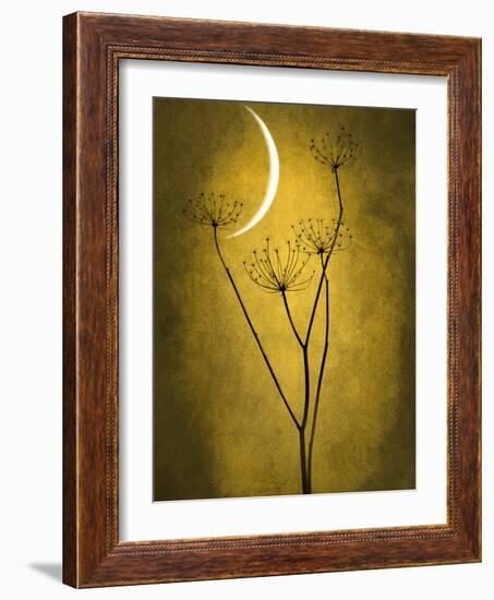 Under the Moon 3-Philippe Sainte-Laudy-Framed Photographic Print