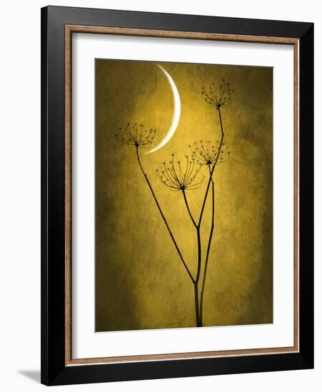 Under the Moon 3-Philippe Sainte-Laudy-Framed Photographic Print