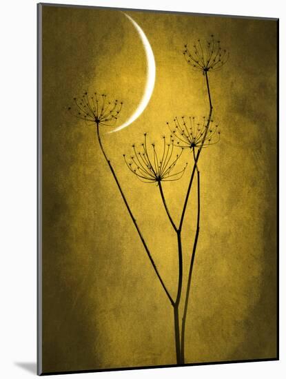 Under the Moon 3-Philippe Sainte-Laudy-Mounted Photographic Print