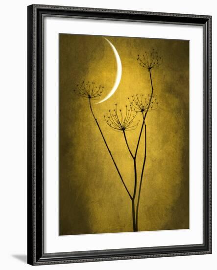 Under the Moon 3-Philippe Sainte-Laudy-Framed Photographic Print