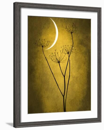 Under the Moon 3-Philippe Sainte-Laudy-Framed Photographic Print