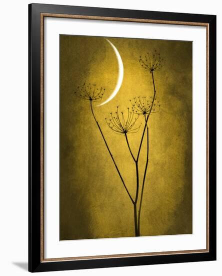 Under the Moon 3-Philippe Sainte-Laudy-Framed Photographic Print