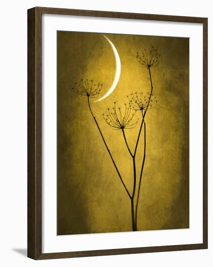 Under the Moon 3-Philippe Sainte-Laudy-Framed Photographic Print