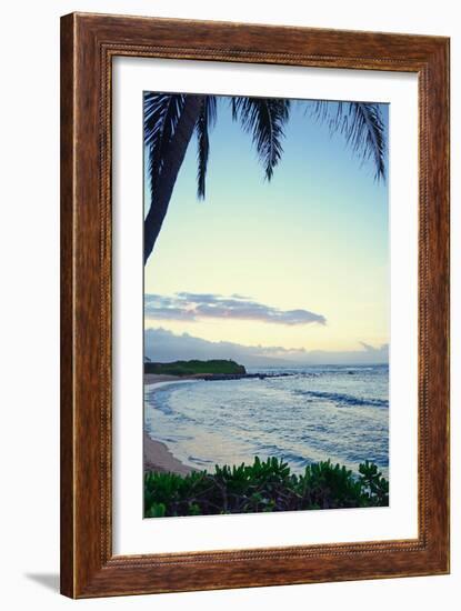 Under the Palm-Bruce Nawrocke-Framed Photographic Print