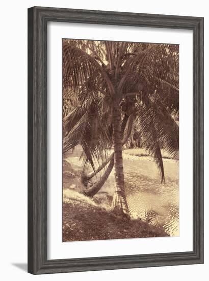 Under the Palm-Thea Schrack-Framed Giclee Print