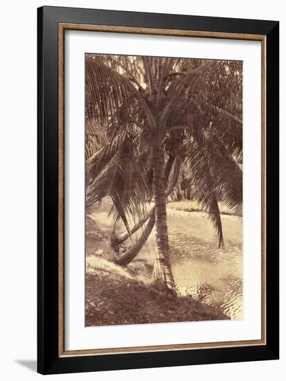 Under the Palm-Thea Schrack-Framed Giclee Print