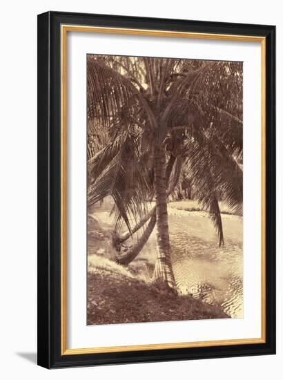 Under the Palm-Thea Schrack-Framed Giclee Print