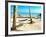 Under the Palms (24x18)-Gail Peck-Framed Photo