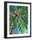 Under the Palms I-Carolee Vitaletti-Framed Art Print