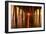 Under the Pier-Michael Blanchette-Framed Photographic Print