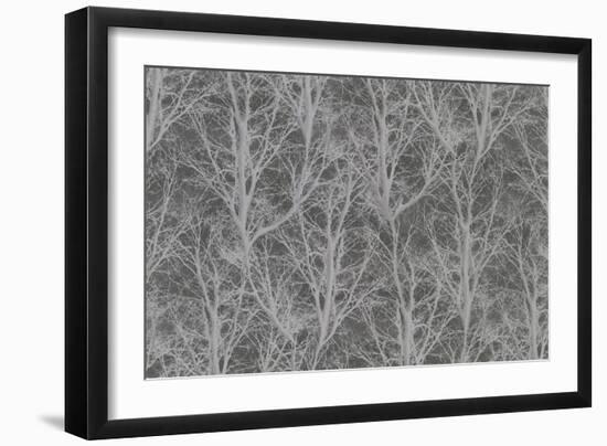 Under the Pines 2-Color Bakery-Framed Giclee Print