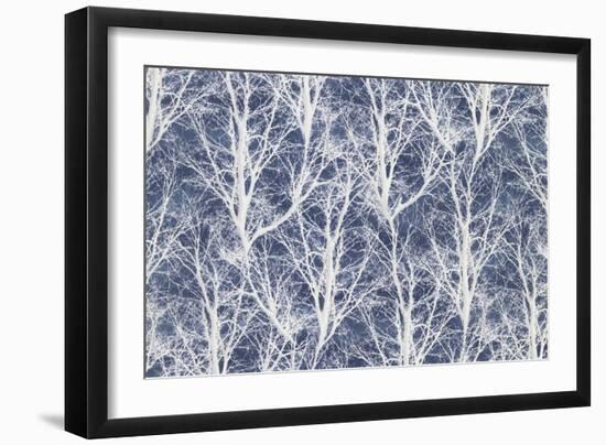 Under the Pines 4-Color Bakery-Framed Giclee Print