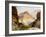 Under the Red Wall, Grand Canyon of Arizona, 1917-Thomas Moran-Framed Giclee Print