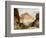 Under the Red Wall, Grand Canyon of Arizona, 1917-Thomas Moran-Framed Giclee Print