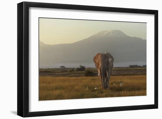 Under The Roof Of Africa-Massimo Mei-Framed Giclee Print