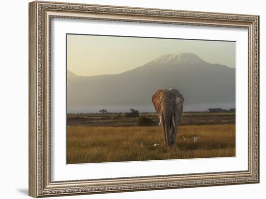 Under The Roof Of Africa-Massimo Mei-Framed Giclee Print