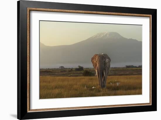 Under The Roof Of Africa-Massimo Mei-Framed Giclee Print