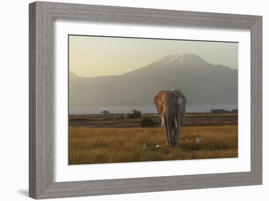 Under The Roof Of Africa-Massimo Mei-Framed Giclee Print