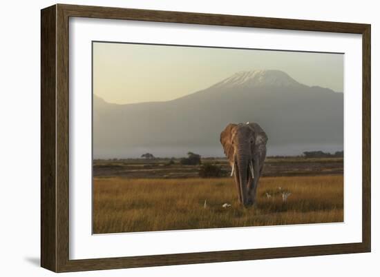 Under The Roof Of Africa-Massimo Mei-Framed Giclee Print