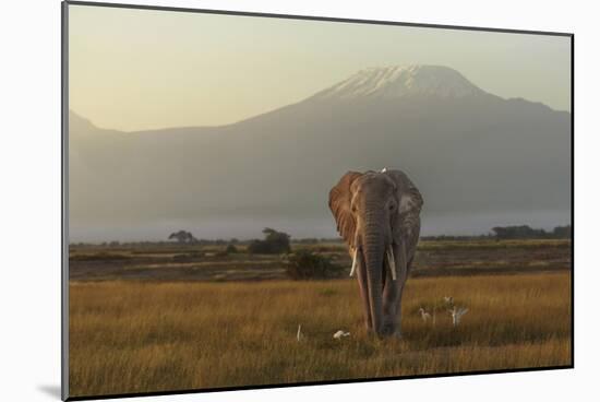 Under The Roof Of Africa-Massimo Mei-Mounted Giclee Print