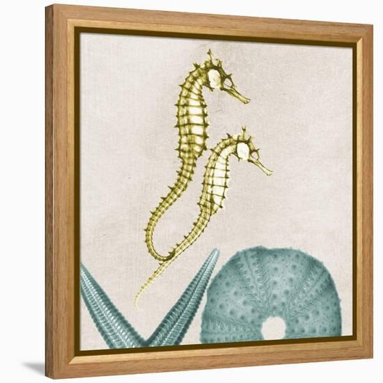 Under the Sea 1-Albert Koetsier-Framed Stretched Canvas