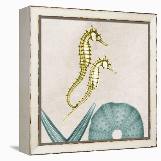 Under the Sea 1-Albert Koetsier-Framed Stretched Canvas