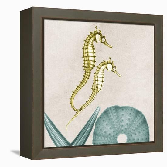 Under the Sea 1-Albert Koetsier-Framed Stretched Canvas