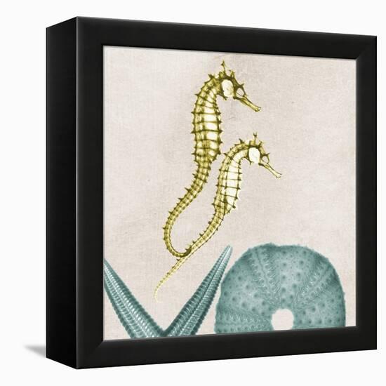 Under the Sea 1-Albert Koetsier-Framed Stretched Canvas