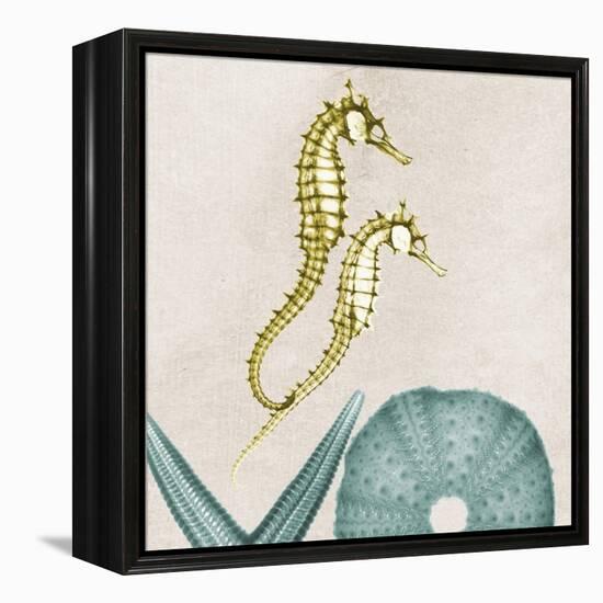 Under the Sea 1-Albert Koetsier-Framed Stretched Canvas