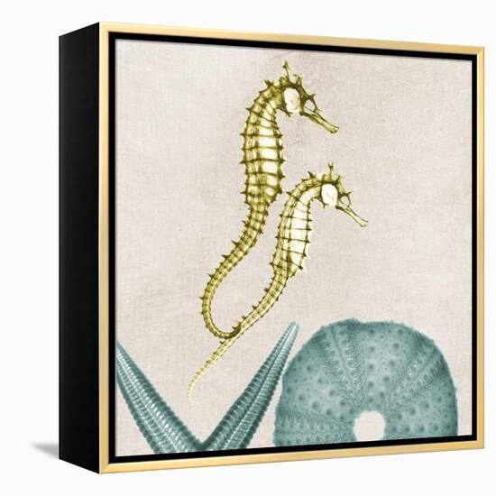 Under the Sea 1-Albert Koetsier-Framed Stretched Canvas