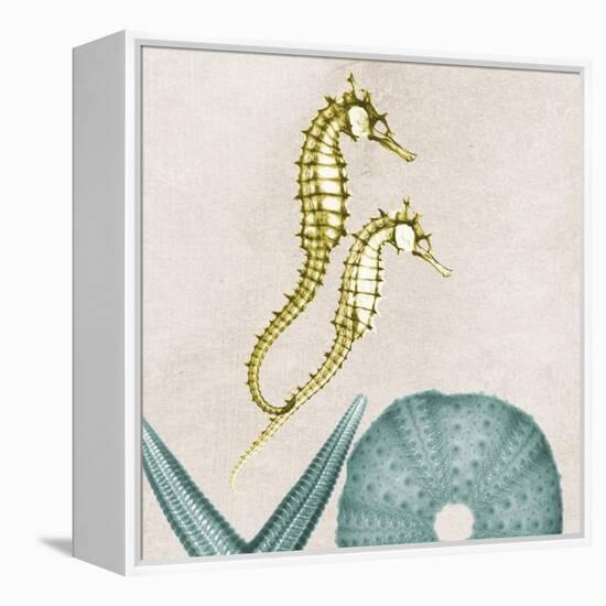 Under the Sea 1-Albert Koetsier-Framed Stretched Canvas