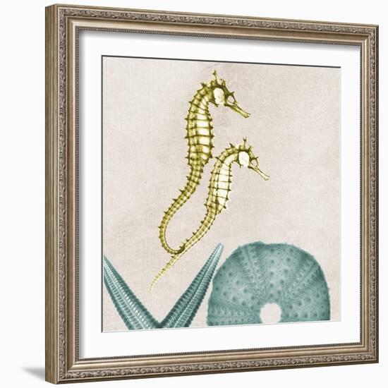 Under the Sea 1-Albert Koetsier-Framed Art Print