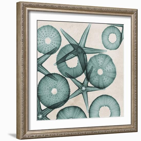 Under the Sea 3-Albert Koetsier-Framed Art Print