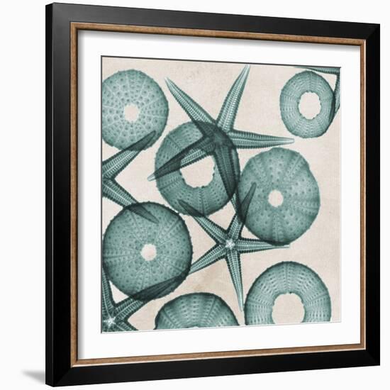 Under the Sea 3-Albert Koetsier-Framed Art Print