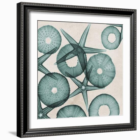 Under the Sea 3-Albert Koetsier-Framed Art Print